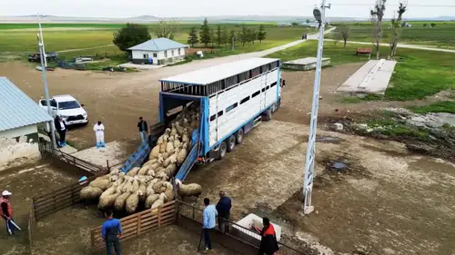 Başvurular başladı! Üreticilere 180 bin TL verilecek