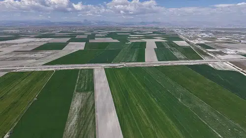 Rekolte artışı bekleniyor! Konya Ovası’nda yağışlar yüz güldürdü