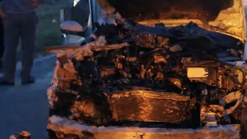 Konya’da otomobil sürüye çarptı! Çok sayıda hayvan telef oldu