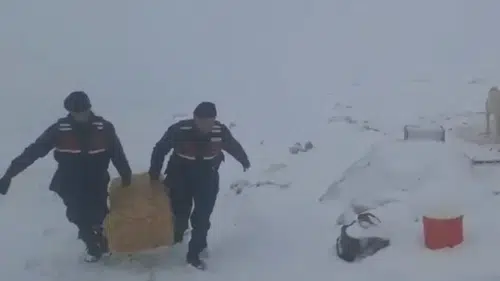 Konya’da duygulandıran müdahale! Saman balyalarıyla hayat kurtarıldı