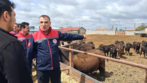 Konya’da Kurban Bayramı yaklaştı! Konya’da İl Müdürü harekete geçti