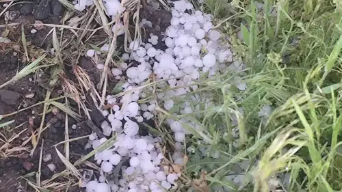 Konya’da fındık büyüklüğünde dolu tağdı