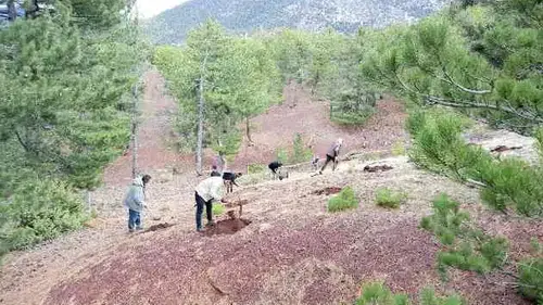 Konyalılar bu habere üzülecek! 11 ilçede o bölgelere girişler sınırlandırıldı