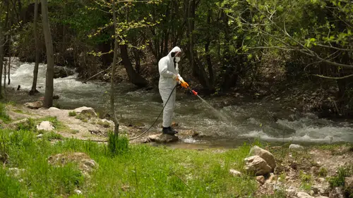 Yağışlar arttı, sivrisinekler çoğaldı: Konya'da seferberlik başladı
