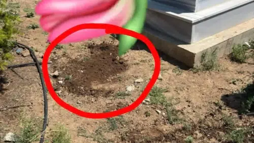 Konya’daki mezara defnettiler! Belediye acil mezarı kaldırdı
