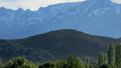 Konya’da doğa mucizesi! Başkan Altay şaştı kaldı