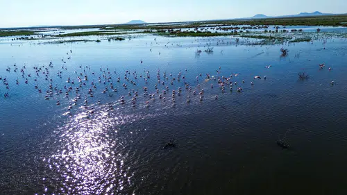 Konya-Karaman sınırlarında kuruyan göl yeniden su tuttu