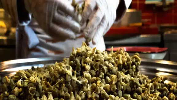 Konya'da 2 ton çalıntı bamyayı alan 4 kişiye hapis istemi!