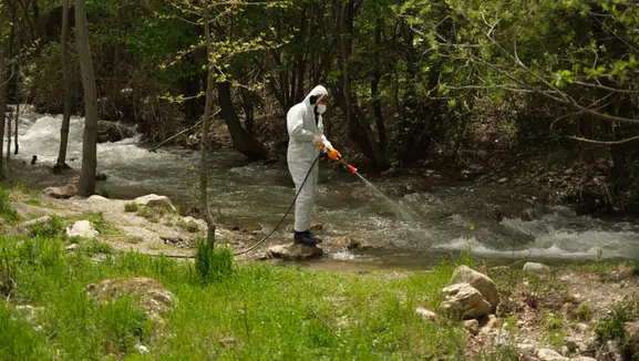 Yağışlar arttı, sivrisinekler çoğaldı: Konya'da seferberlik başladı