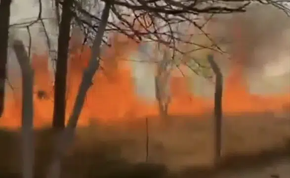 Konya’da korkutan yangın! Rüzgar etkisi ile yayıldı