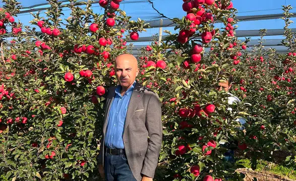 Elma üreticilerine kritik uyarı! Satış yapmayın