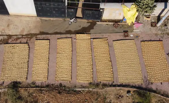 Konya'da asırlık tarhana geleneğinde yaz mesaisi sona eriyor