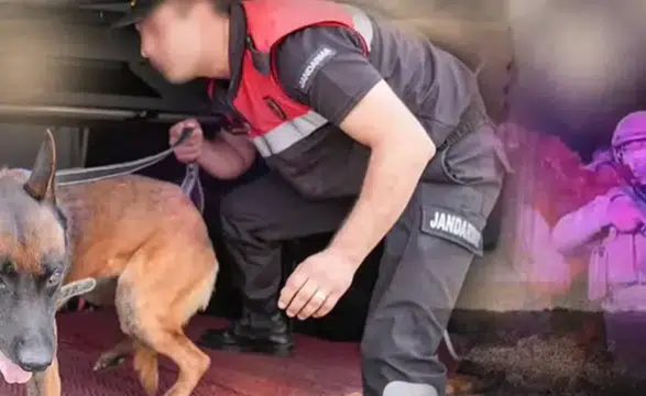 28 ilde uyuşturucu operasyonu! 69 şüpheli tutuklandı