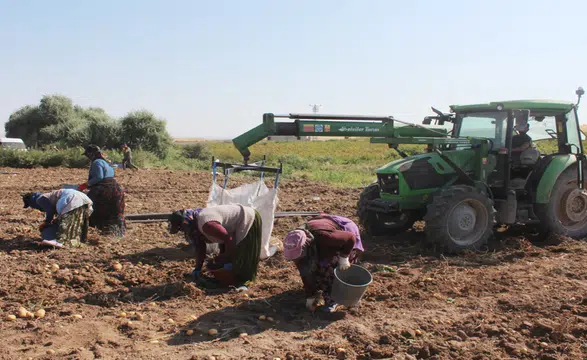 Aksaray’da patates fiyatı tarlada düştü, etikette düşmedi: 10 Liradan 40 Liraya