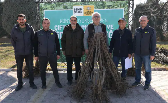 Konya Büyükşehir’den çiftçiye dev destek: 23 bin adet fidan dağıtılacak