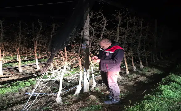 Karaman’da soğuk gece! Üreticiler ürünlerini korumak için mücadele etti