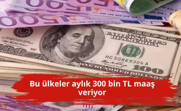 Bu ülkeler aylık 300 bin TL maaş veriyor