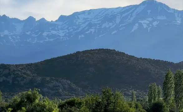 Konya’da doğa mucizesi! Başkan Altay şaştı kaldı