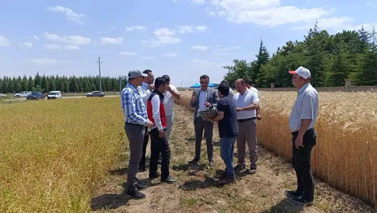 Konya'da kuraklığa karşı yeni adım! Çiftçiler için umut olacak ürünler ekildi