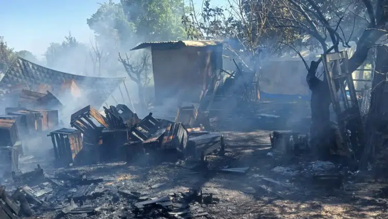 Tütsü için yakılan ateş felakete dönüştü: 35 arı kovanı kül oldu