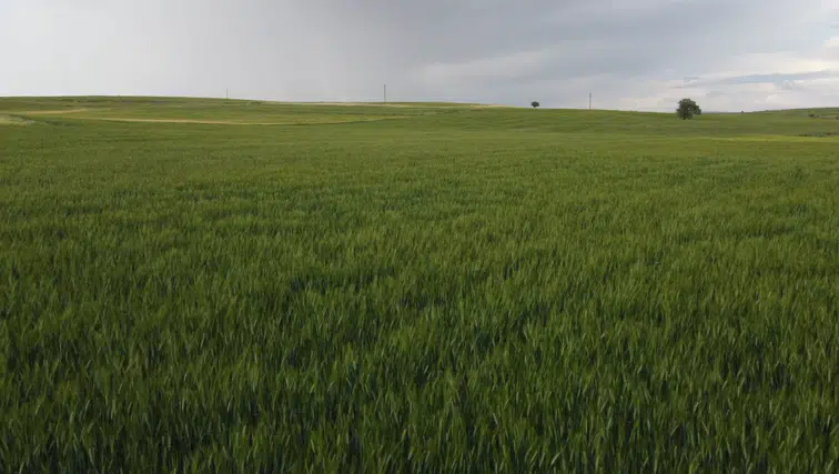 Konya’da 4 günde en çok yağış alan ilçeler belli oldu