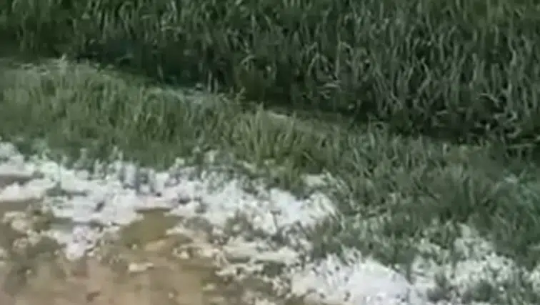 Konya Ovası’nda dolu etkili oldu! Tarımda tehlike var mı?