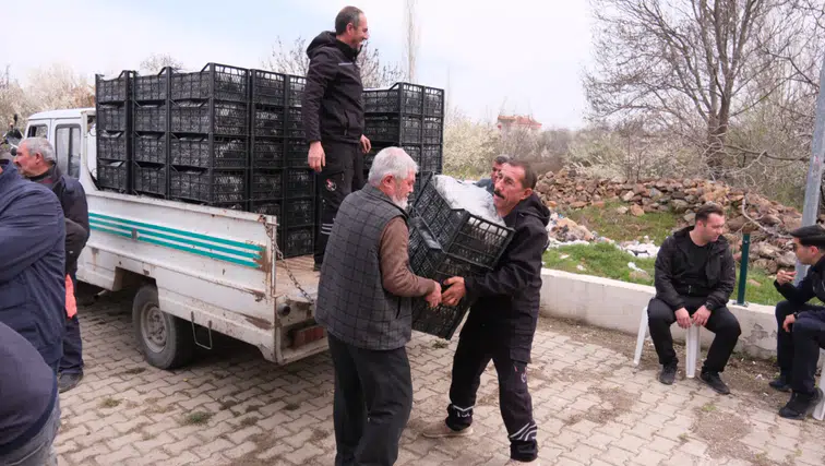 Akşehir’de üreticiye dev destek: 84 çiftçiye 126 bin çilek fidesi