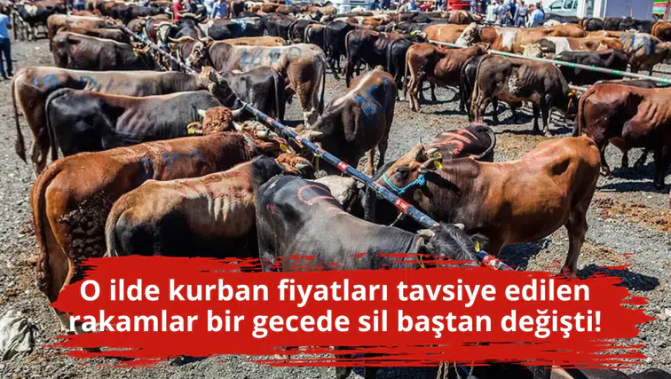 O ilde kurban fiyatları tavsiye edilen rakamlar bir gecede sil baştan değişti!