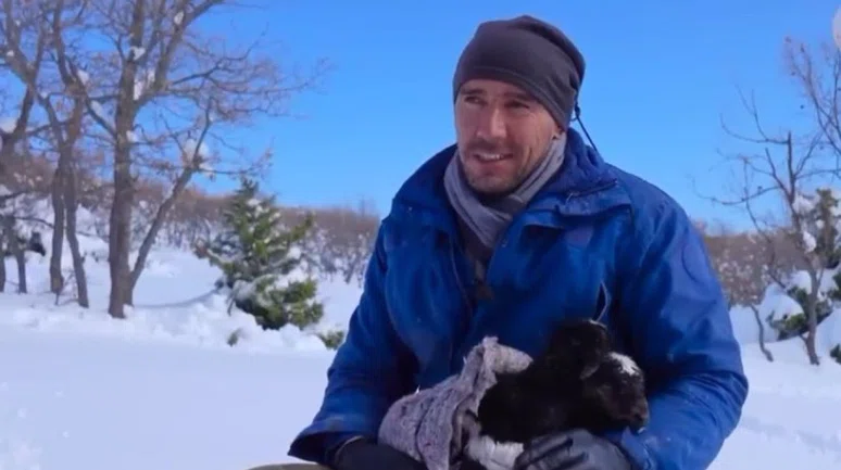 Yurtdışındaki mesleğini bırakıp hayvancılığa geri döndü