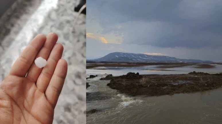 Şiddetli yağış ve doğa olayları tarım arazilerine büyük zarar verdi