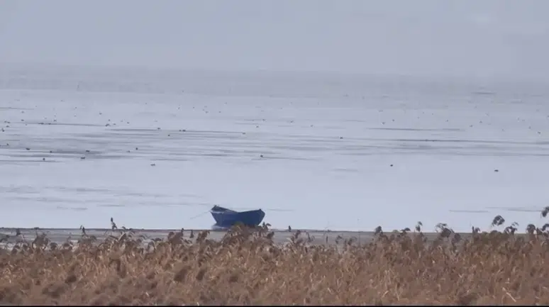 Konya’nın denizinden sevindirici haber! Kurtuluyor mu?