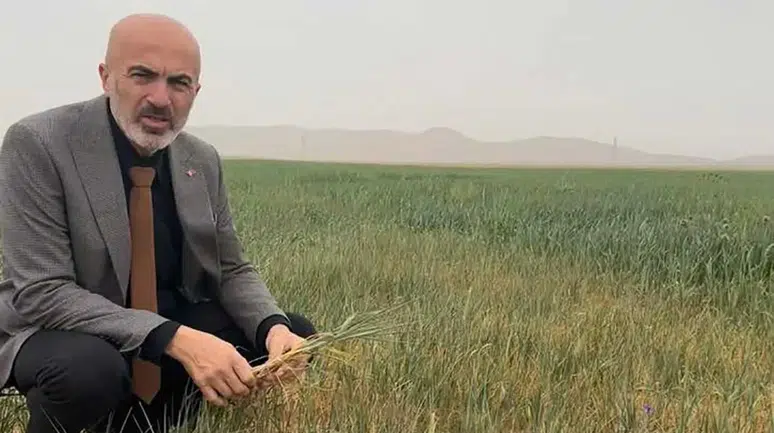 Karaman'da kuraklık ve don çiftçiyi vurdu! Verim kaybı kapıda