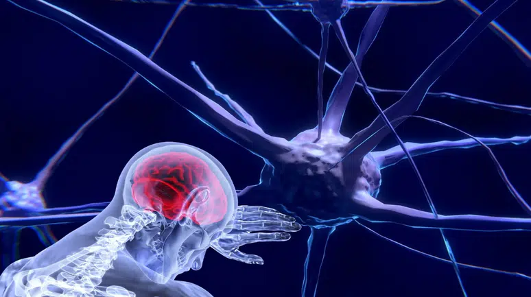 Beyin yapısı suç işleme riskini artırıyor mu?