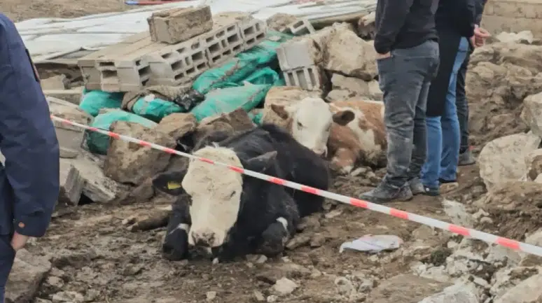 Sağanak ve fırtına Aksaray’da ahırı yıktı