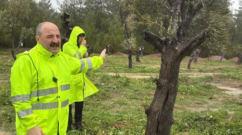Konya Vekili katledilecek denilen ağaçlara bakın ne oldu diyerek açıkladı
