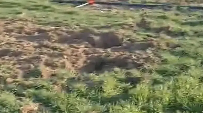 Konya Ovasında tehdid büyüyor