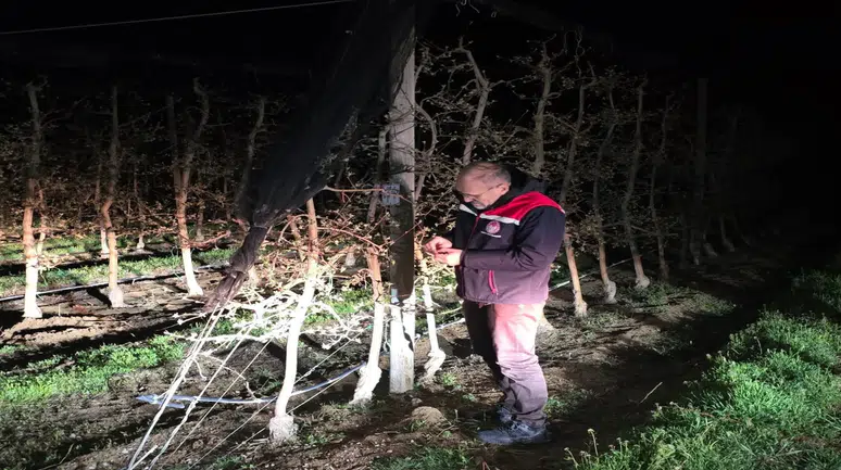 Karaman’da soğuk gece! Üreticiler ürünlerini korumak için mücadele etti