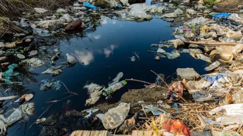 Konya’dan bilimsel uyarı: Mikroplastik detoks iddialarına kanmayın!