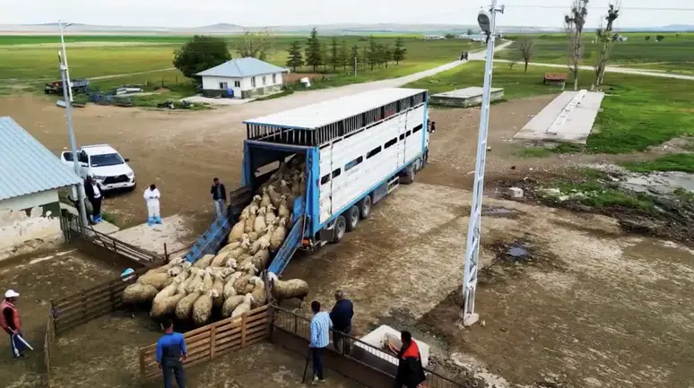 Başvurular başladı! Üreticilere 180 bin TL verilecek