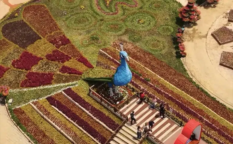 Türkiye’de en büyüğü Konya’da! Ziyarete açıldı