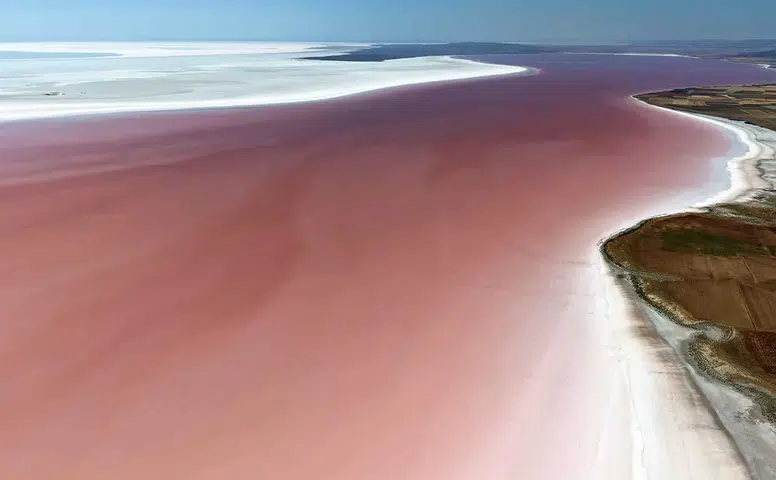 Tuz Gölü'nde doğanın mucizesi! Pembe görüntü hayran bıraktı