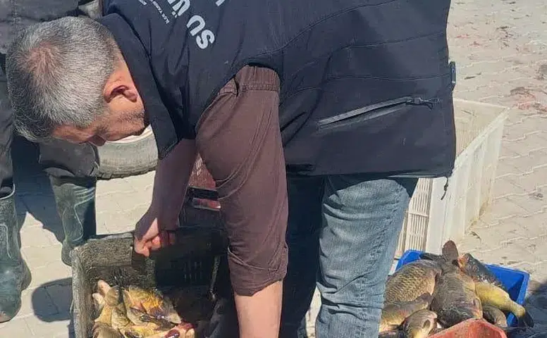 Balıkçılara yakın takip! Beyşehir Gölü'nde sıkı denetim