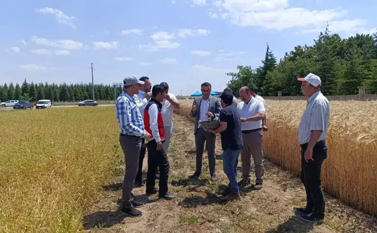 Konya'da kuraklığa karşı yeni adım! Çiftçiler için umut olacak ürünler ekildi