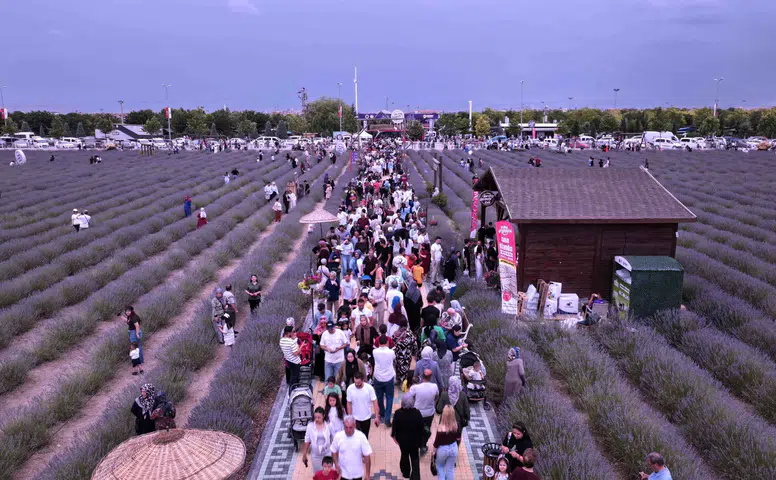 Konya'daki lavanta festivali ziyaretçi rekoru kırdı!