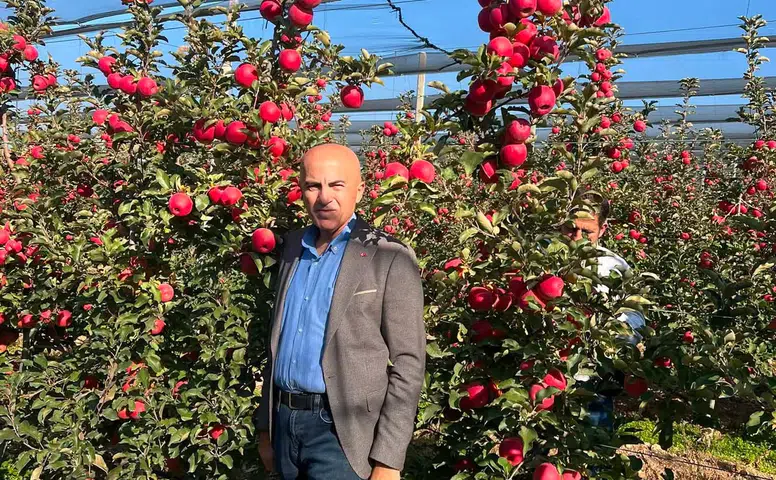 Elma üreticilerine kritik uyarı! Satış yapmayın