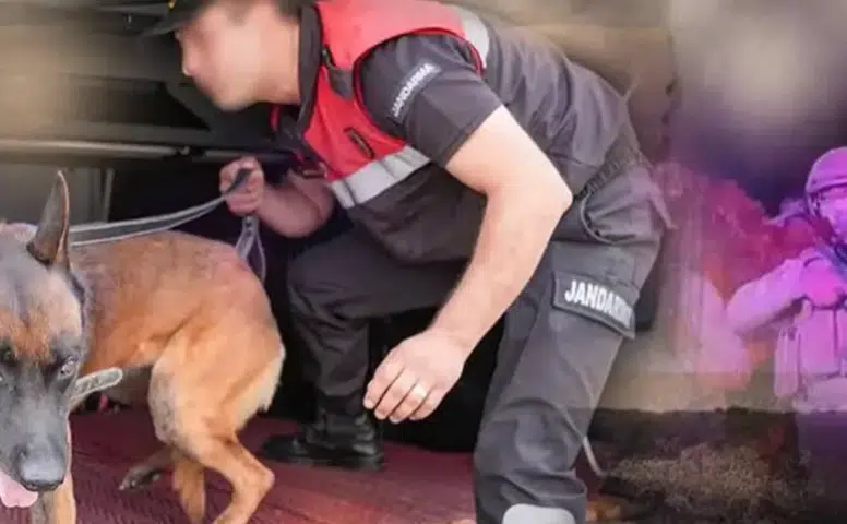 28 ilde uyuşturucu operasyonu! 69 şüpheli tutuklandı