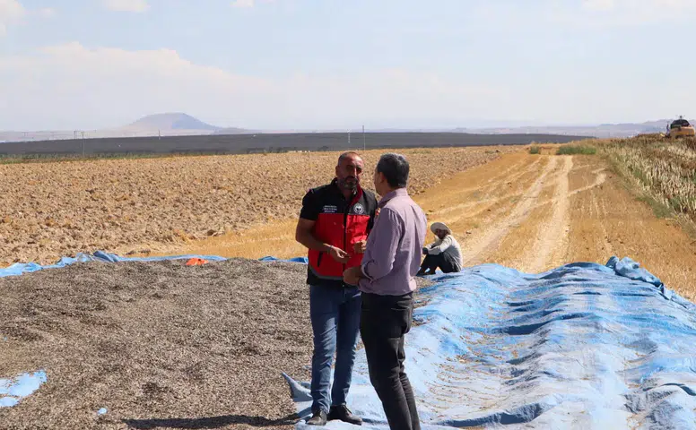 Konya’da Türkiye’nin en sevdiği kuruyemiş üretimine denetim!