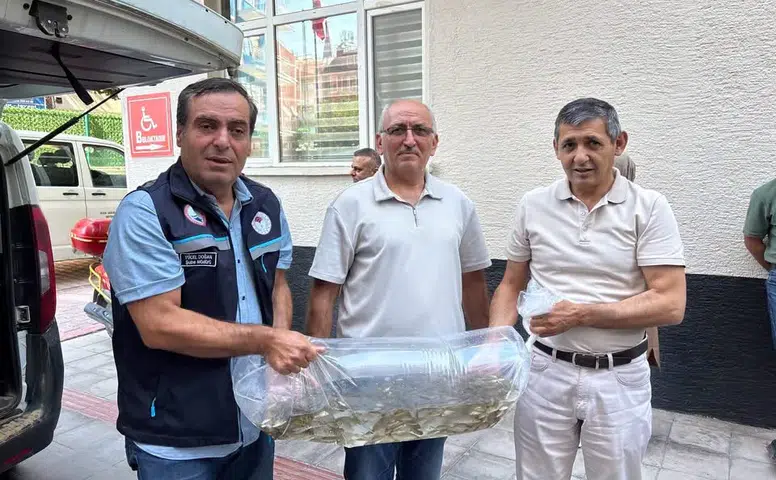 Konya’da yavru balık dağıtılıyor!