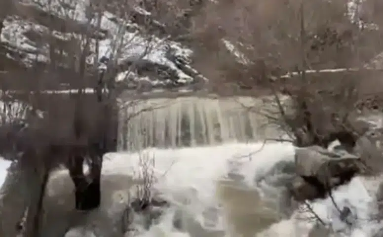 Uzun yıllar sonra ilk kez böyle aktı! Dereler coştu