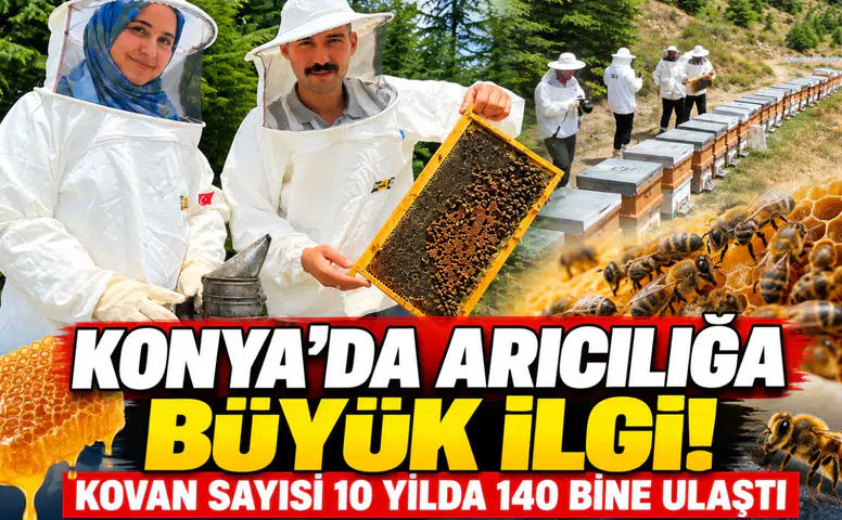 Konya’da arıcılığa büyük ilgi! Kovan sayısı 10 yılda 140 bine ulaştı